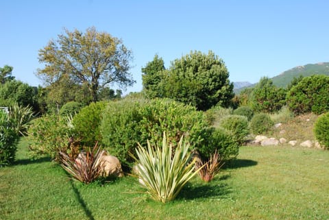 Garden view, Mountain view