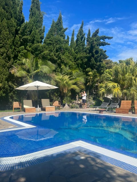 Garden, Garden view, Pool view, Swimming pool, sunbed