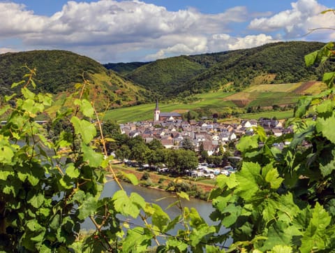 Moselhof Ferienwohnungen Apartment in Cochem-Zell