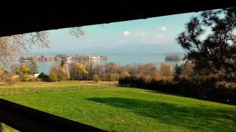 Lake view
