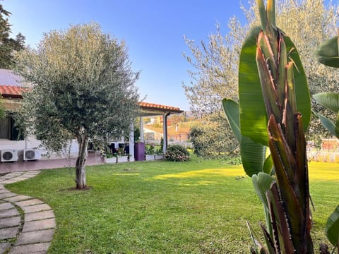Property building, Day, Natural landscape, Garden, Garden view