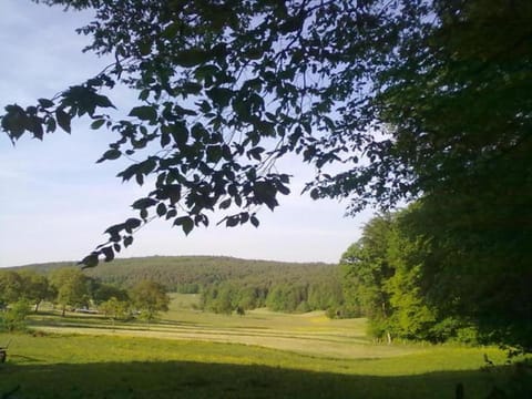 Natural landscape, View (from property/room)