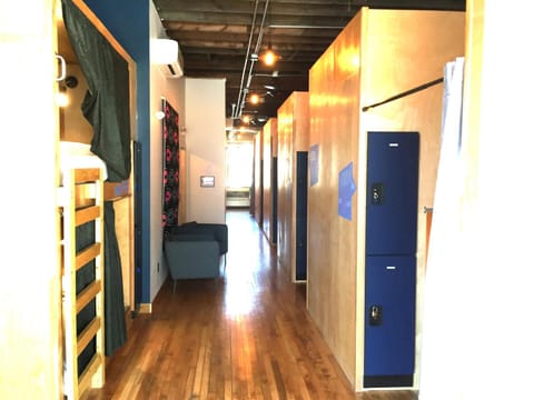 Bed, Photo of the whole room, bunk bed