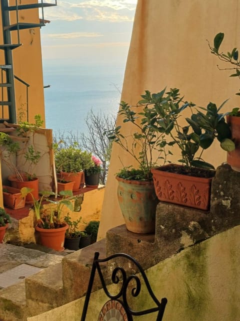 Rifugio Stellato Bed and Breakfast in Conca dei Marini