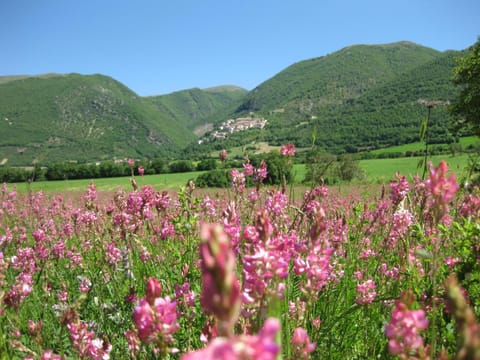 FonteAntica Agriturismo Farm Stay in Umbria