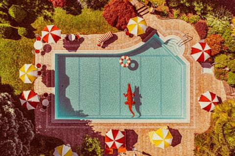 Bird's eye view, Pool view