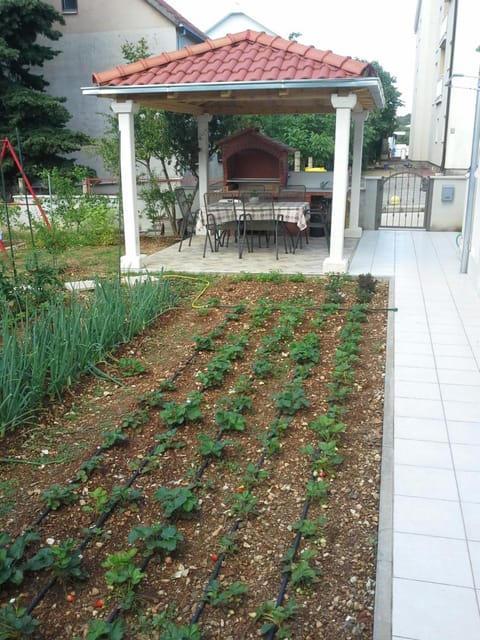 Sanja M 1 Apartment in Dubrovnik-Neretva County