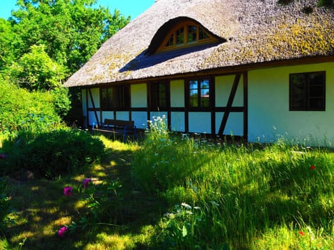 Property building, Garden view