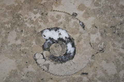 FeWo Bayha "Lerchenhaus" Apartment in Langenargen