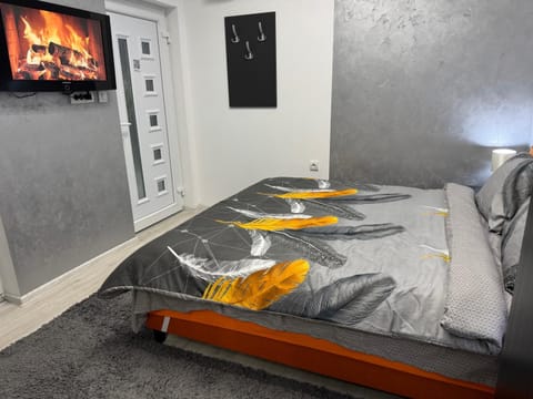 Mitić Apartmani 1 Vacation rental in Serbia