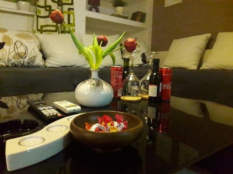 Apartman VEGA Apartment in Vojvodina