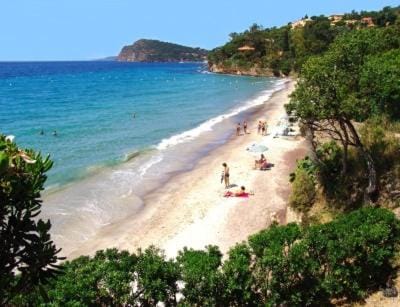 Rayol-Canadel Villa in Rayol-Canadel-sur-Mer