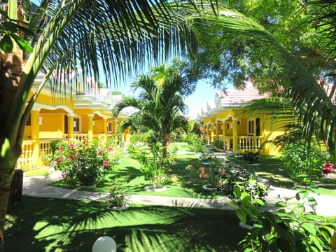 Garden view