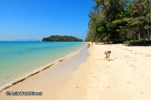 At Seacondo-1 Bedroom-A12 Apartment in Krabi Changwat