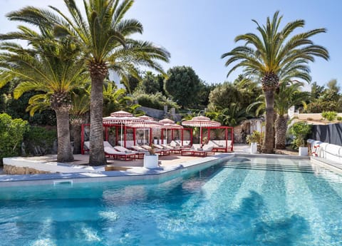Garden, Solarium, Swimming pool, sunbed