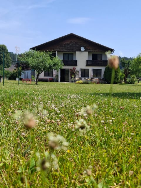 Property building, Garden view