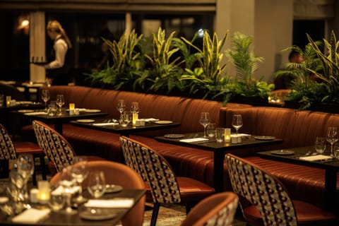 Restaurant/places to eat, Restaurant/places to eat, Dining area, Dinner, Dinner