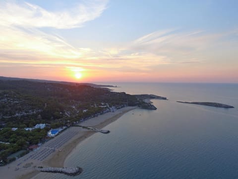 Summer, On site, Sunset