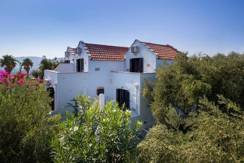 Bird's eye view, Garden
