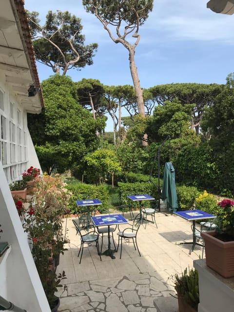 Il Miraggio Hotel in Fregenae