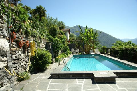 Natural landscape, Swimming pool, Swimming pool, sunbed