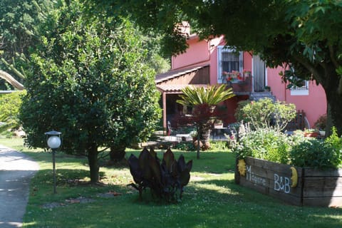 Garden, Decorative detail