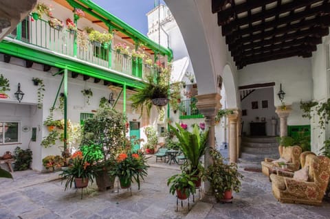 Patio, Garden, Inner courtyard view