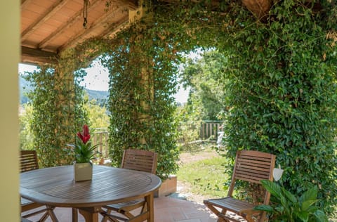Patio, Balcony/Terrace, Garden view