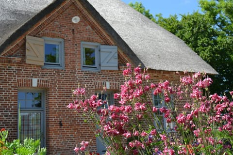 Apartments Golden Tüffel Apartment in Hohwacht