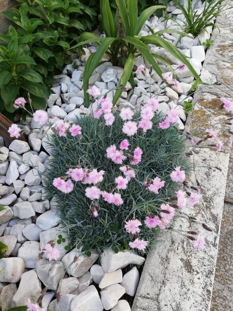 Apartman 2 Apartment in Zadar