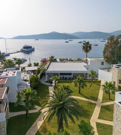 Property building, Off site, Garden, Beach, Beach, On site, Garden view