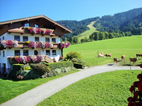 Sixenhof Apartment in Salzburgerland