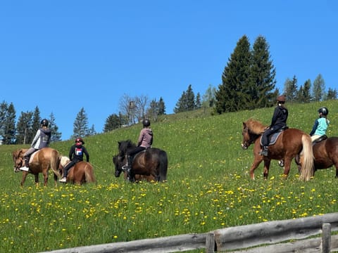 Horse-riding, children, group of guests