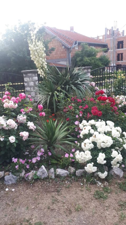 Sobe Seka Bed and Breakfast in Serbia