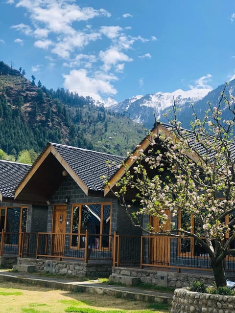 Mountain view