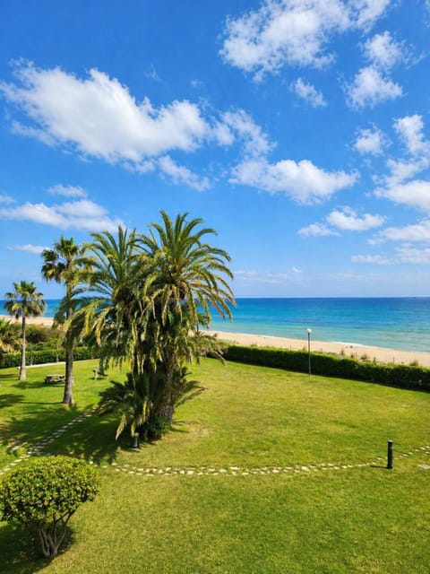 Property view