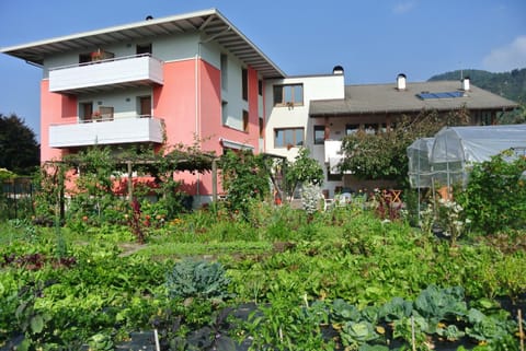 Property building, Summer, Garden view