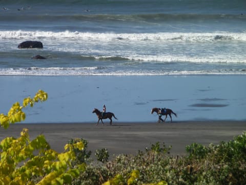 Beach, Sea view