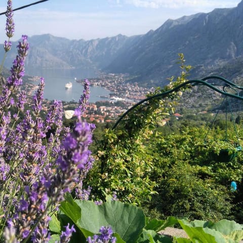 Natural landscape, Mountain view