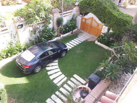 Bird's eye view, Garden view