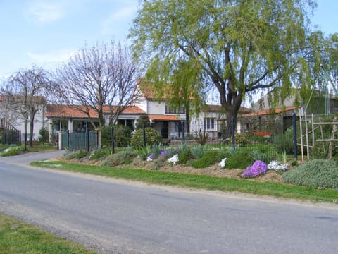 Spring, Garden, Garden view