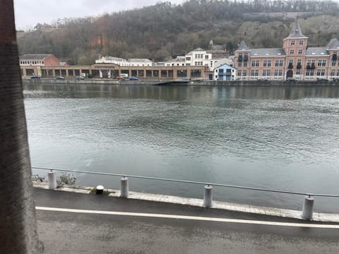 Gîtes La vue sur Meuse Apartment in Dinant