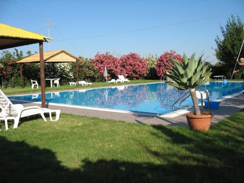 Day, Swimming pool