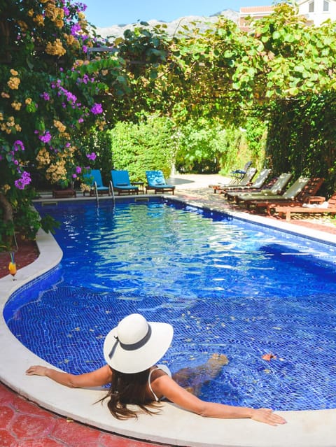 Garden, Swimming pool