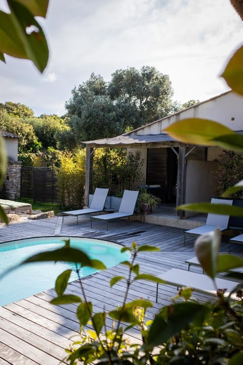 Patio, Garden, Garden view, Pool view, Swimming pool, sunbed