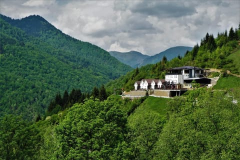 Property building, Natural landscape, Bird's eye view, Mountain view