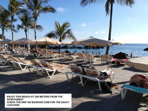 Nearby landmark, Restaurant/places to eat, Natural landscape, Fishing, Snorkeling, Beach, Canoeing, Diving
