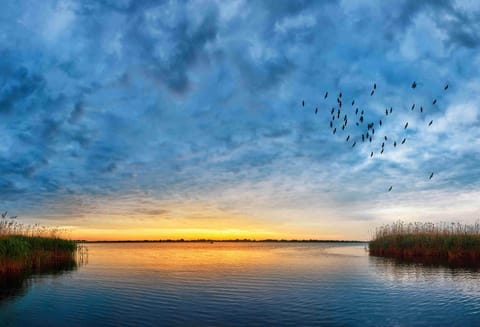 Lake view, Sunset