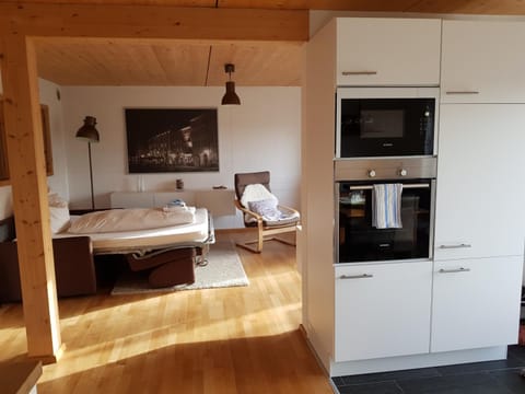 Bed, Kitchen or kitchenette, Living room, Photo of the whole room, Seating area, oven