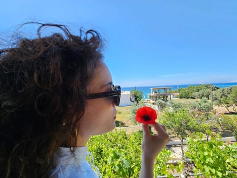 Spring, Day, People, Natural landscape, View (from property/room), Balcony/Terrace, Sea view, group of guests